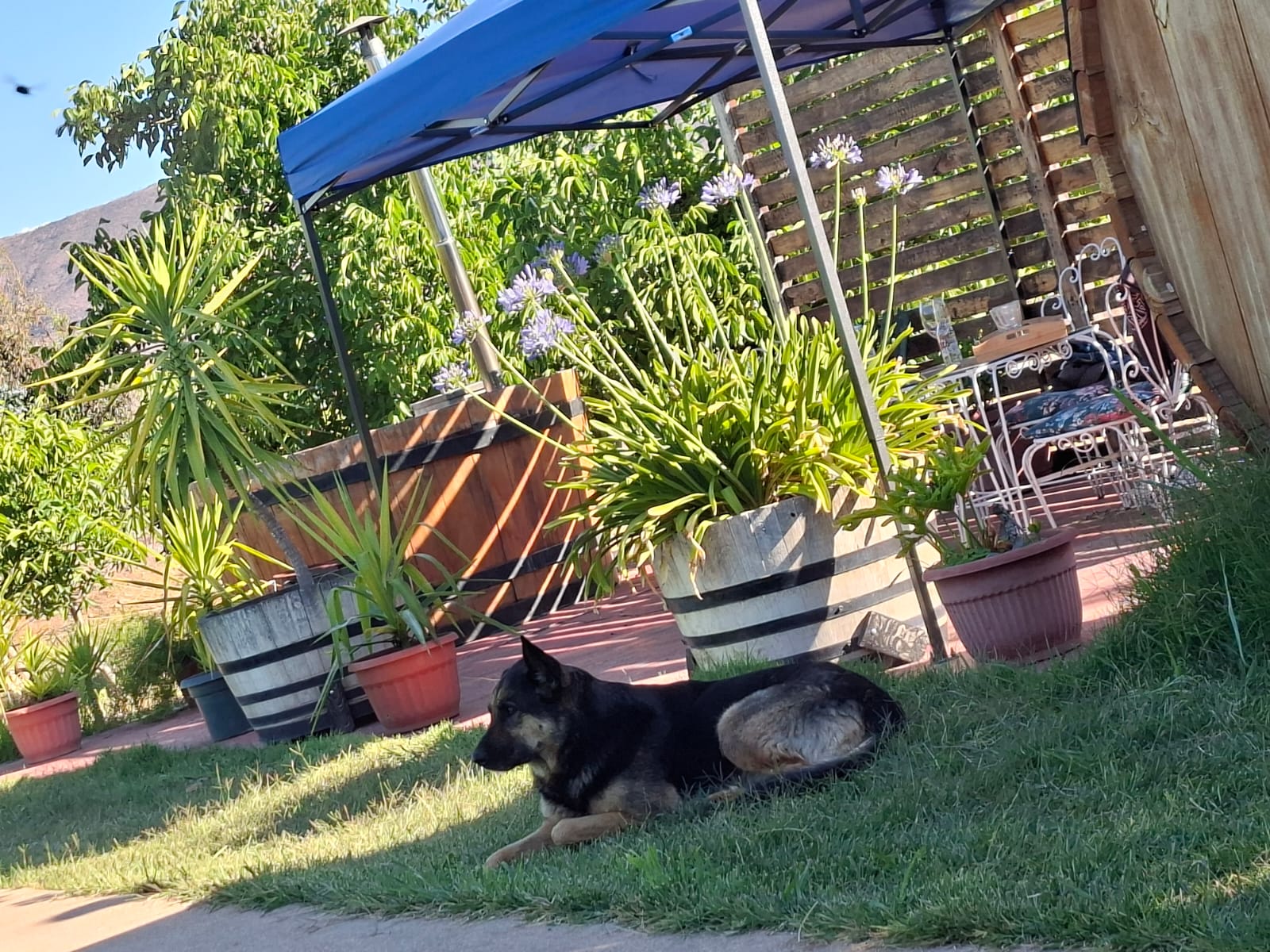 Iluminación natural